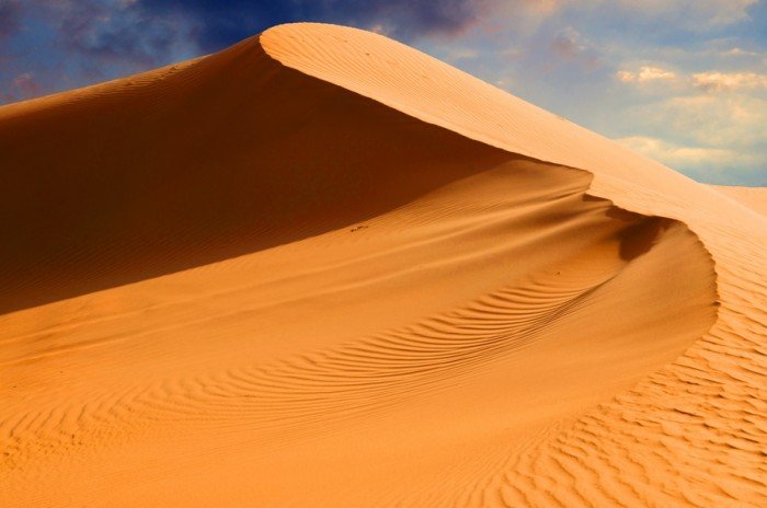 Пустеля Сахара в Африці. Цікаві факти про Сахару. Тваринний світ Африки